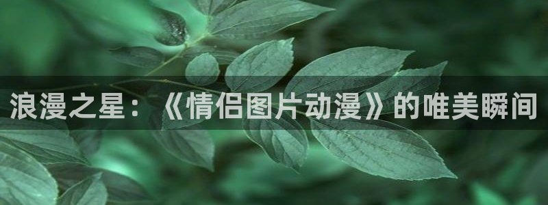 里里番动漫：浪漫之星：《情侣图片动漫》的唯美瞬间