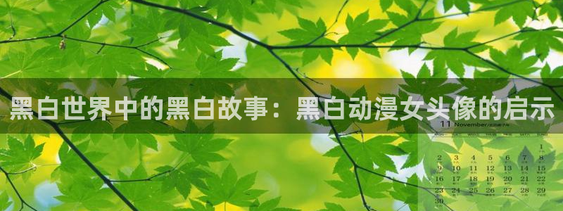 动画片里番：黑白世界中的黑白故事：黑白动漫女头像的启示
