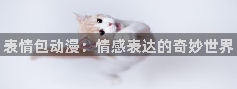 有什么好看的里番：表情包动漫：情感表达的奇妙世界