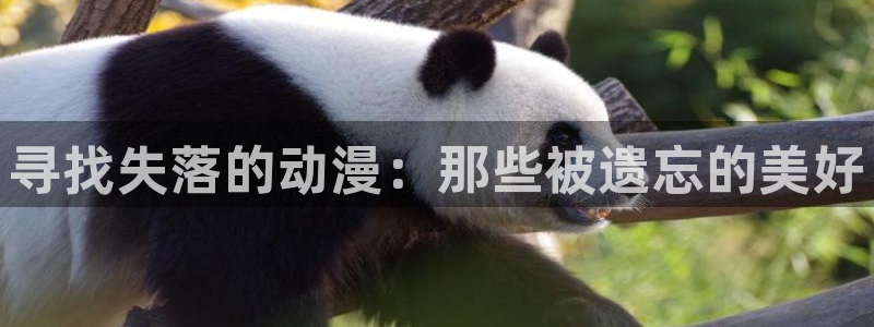 h里番动漫：寻找失落的动漫：那些被遗忘的美好