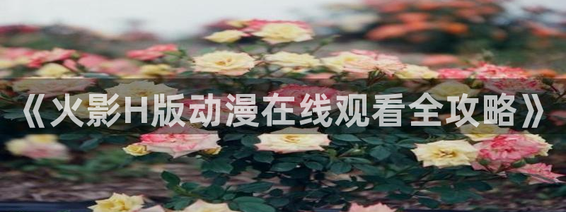 里番动漫在哪看：《火影H版动漫在线观看全攻略》