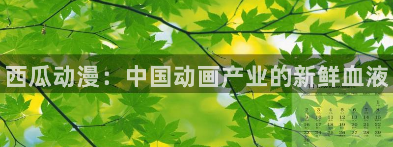 里番动漫在线免费看：西瓜动漫：中国动画产业的新鲜血液