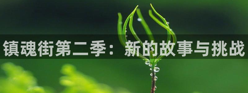 日本工口漫画里番：镇魂街第二季：新的故事与挑战