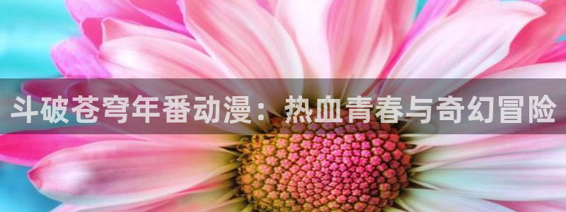 里番是啥：斗破苍穹年番动漫：热血青春与奇幻冒险