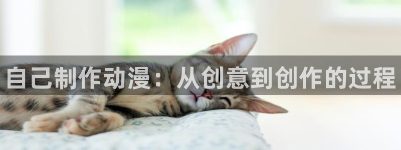 动漫色里番：自己制作动漫：从创意到创作的过程