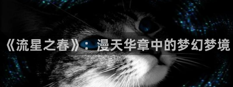 樱花动漫里番动漫：《流星之春》：漫天华章中的梦幻梦境