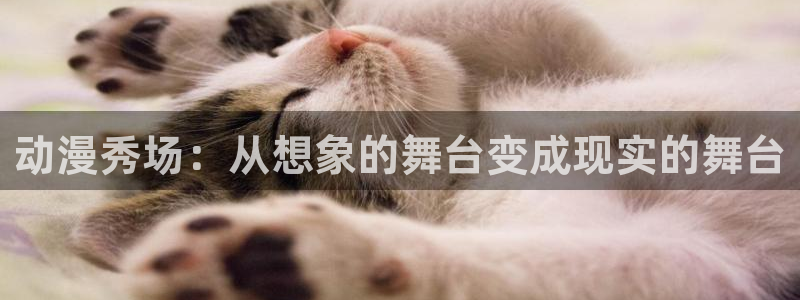 里番动漫第一：动漫秀场：从想象的舞台变成现实的舞台
