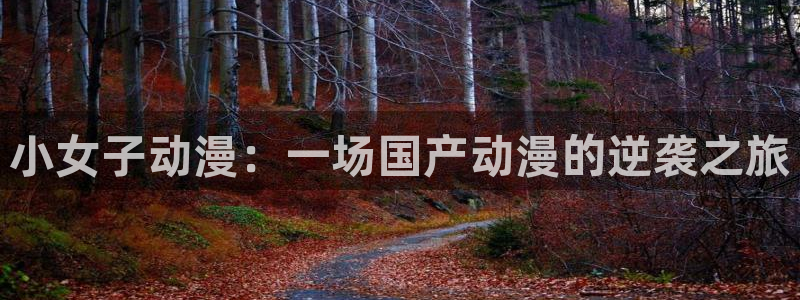 acg里番动漫网：小女子动漫：一场国产动漫的逆袭之旅