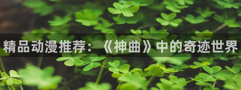 里番风车动漫：精品动漫推荐：《神曲》中的奇迹世界