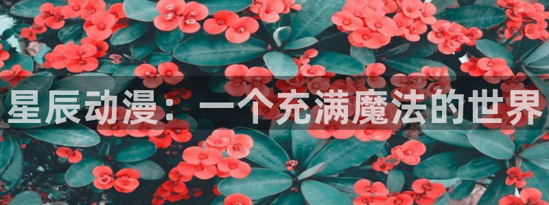 里番动漫影视：星辰动漫：一个充满魔法的世界
