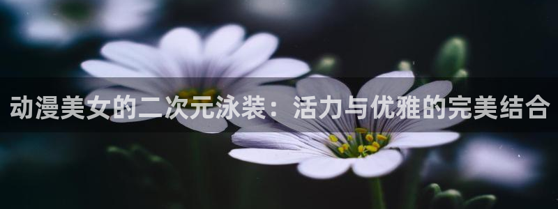 里番动漫库