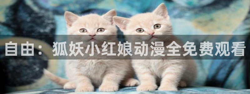 肉里番漫画