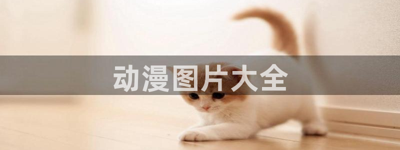 里番动漫网有哪些