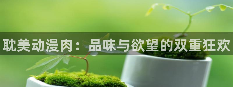 里番动漫之家