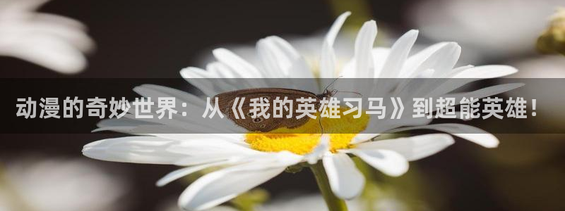 里番动漫肉