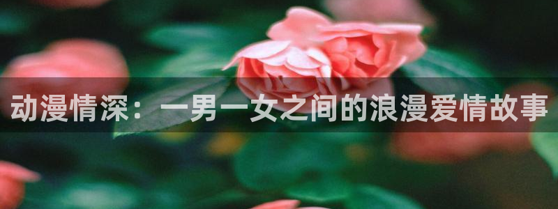3d 里番动漫在线观看
