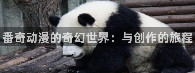 里番动漫最新：番奇动漫的奇幻世界：与创作的旅程