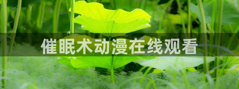 里番动画吧：催眠术动漫在线观看
