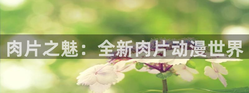 肉里番漫画
