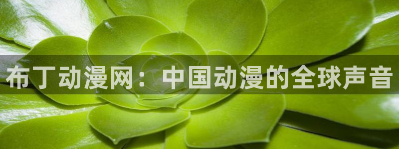 里番在线观看动漫