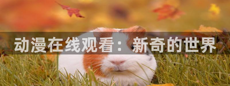 动漫里番免费看