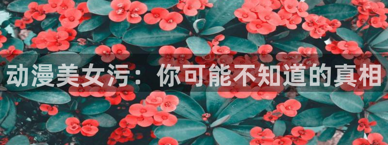 里番动漫网站