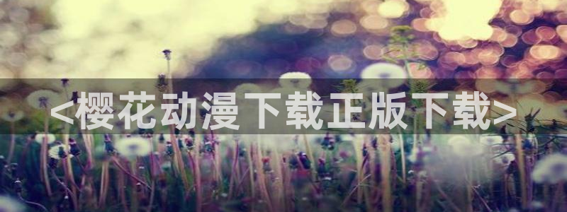 里番动漫有那些